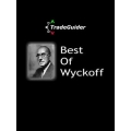 TradeGuider – Wyckoff Rediscovered Conference 